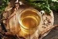 Dandelion root tea in a glass cup Royalty Free Stock Photo