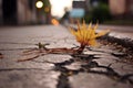 dandelion roots breaking through pavement in dramatic fashion