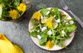 Dandelion salad with onions and cheese Royalty Free Stock Photo