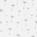 Dandelion seamless background Royalty Free Stock Photo