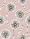 Dandelion. Seamless floral background. Royalty Free Stock Photo