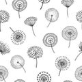 Dandelion seamless pattern. Dandelions grass pollen plant seeds blowing tranquil wind fluff flower macro nature vector