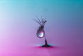 Dandelion seed covered in water drops Royalty Free Stock Photo