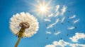 Dandelion seed floating in gentle breeze, close up nature shot capturing beauty of dispersal.