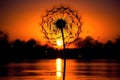 dandelion seed head silhouette during sunset