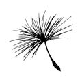 Dandelion seed pencil sketch Royalty Free Stock Photo