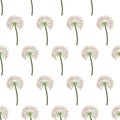 Dandelion seed seamless pattern, great design for fabric, wallpaper, background. Royalty Free Stock Photo