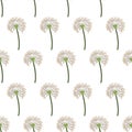 Dandelion seed seamless pattern, great design for fabric, wallpaper, background. Royalty Free Stock Photo