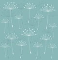 Dandelion seeds background