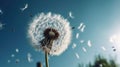 Dandelion with seeds blowing away in the wind across a clear blue sky, generative ai Royalty Free Stock Photo