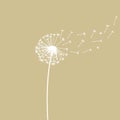 Dandelion with seeds blown away by the wind. Hand drawn illustration for holiday cards banner template