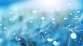 Dandelion seeds in blue and turquoise water droplets Royalty Free Stock Photo