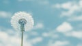 Dandelion seeds drift across a cloudy blue sky, Ai Generated