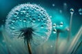 Dandelion Seeds in droplets of water on blue and turquoise beautiful background Royalty Free Stock Photo