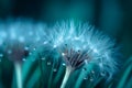 Dandelion Seeds in droplets of water on blue and turquoise beautiful background with soft focus in nature macro. Generative AI. Royalty Free Stock Photo