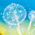 Dandelion Seeds in droplets of water on blue and turquoise beautiful background with soft focus in nature macro. Generative AI. Royalty Free Stock Photo