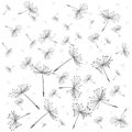 Dandelion seeds seamless