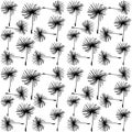 Dandelion seeds. Seamless background. Royalty Free Stock Photo