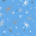 Dandelion seeds seamless pattern