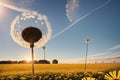 Dandelion seeds in the sunlight blowing away across a fresh green morning background, generative ai