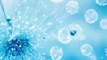 Dandelion Seeds in Water Droplets on Blue and Turquoise Nature Background. Royalty Free Stock Photo