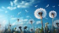 Dandelion seeds in wind flying into sky Royalty Free Stock Photo