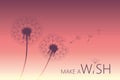 Dandelion silhouette on purple background with flying seeds and make a wish text Royalty Free Stock Photo