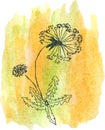 Dandelion sketch on watercolor spot Royalty Free Stock Photo