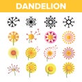 Dandelion, Spring Flower Vector Thin Line Icons Set