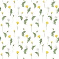 Dandelion spring flowers pattern