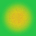 Dandelion, sun or star texture on green Royalty Free Stock Photo