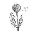 dandelion taraxacum sketch vector illustration