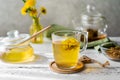 Dandelion tea and honey on the white wooden table with tea pot, dandelion flowers, dry mix for tea Royalty Free Stock Photo