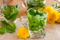 Dandelion tea - hot water poured over fresh dandelion leaves in Royalty Free Stock Photo