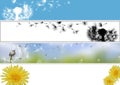 Dandelion Website Banner Collection