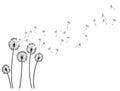 Dandelion wind blow background. Black silhouette with flying dandelion buds on white. Abstract flying seeds. Decorative Royalty Free Stock Photo