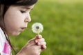 Dandelion Wish Royalty Free Stock Photo