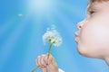 Dandelion wishing blowing seeds Royalty Free Stock Photo