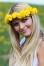 Dandelion wreath Royalty Free Stock Photo