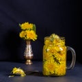 Dandelion yellow flower tea drink in glass mug on black background. Concept of healthy eating