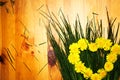 Yellow flowers of dandelions in the form of a heart on the green grass Royalty Free Stock Photo