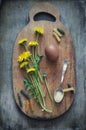 Dandelions Royalty Free Stock Photo