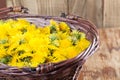 Dandelions in a basket Royalty Free Stock Photo