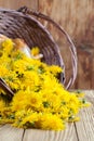 Dandelions in a basket Royalty Free Stock Photo