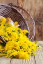 Dandelions in a basket