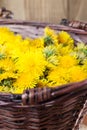 Dandelions in a basket