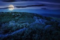 dandelions in the grass among the huge boulders on hillside at night Royalty Free Stock Photo