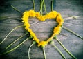 Dandelions in the heart shape on dark background Royalty Free Stock Photo