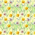 Dandelions , meadow flowers, watercolor, pattern seamless