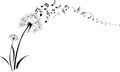 Dandelions with note music flying on white background Royalty Free Stock Photo